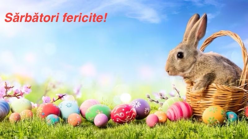 Imagine cu o felicitare în care un iepuraș iese dintr-un coș de nuiele așezat pe iarbă și e înconjurat de ouă colorate.